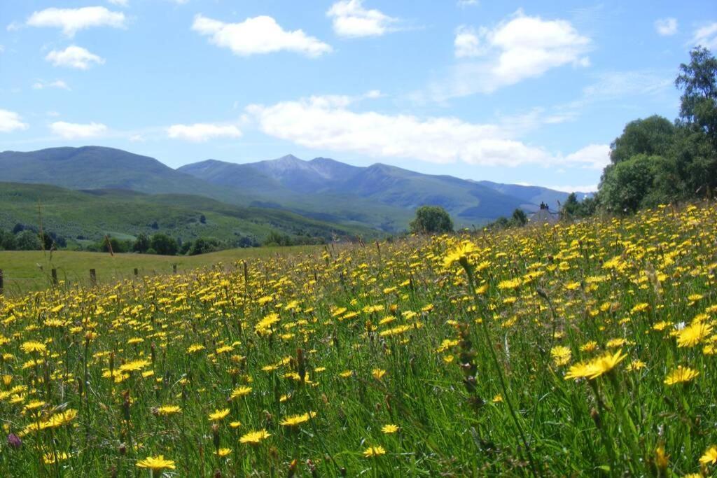 Glas Doire Lodge, Glen Roy Nature Reserve Roybridge Bagian luar foto